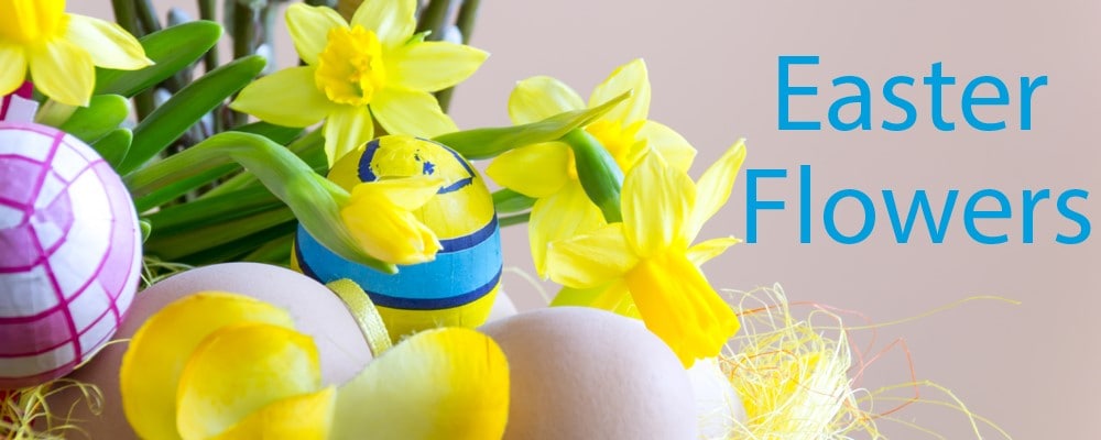 Easter Flowers